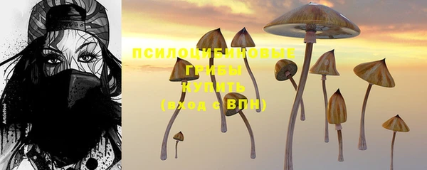 молекула духа Мегион