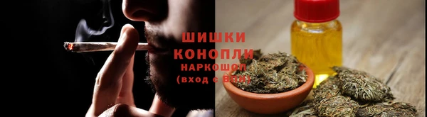 mdpv Медвежьегорск