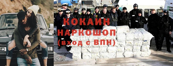 молекула духа Мегион