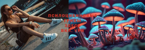 молекула духа Мегион