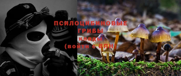 mdpv Медвежьегорск