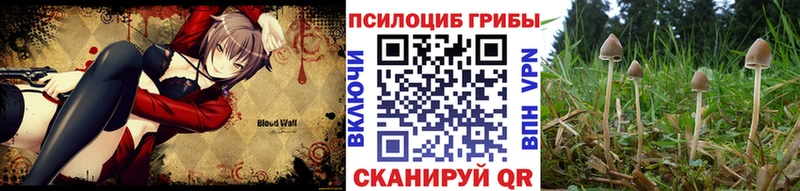 МЕГА ссылка  Пойковский  Галлюциногенные грибы MAGIC MUSHROOMS 