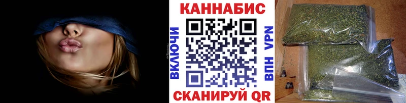 Каннабис планчик  Пойковский 